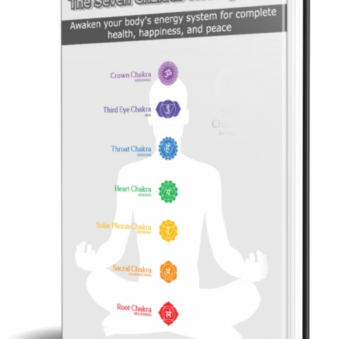 The Seven Chakras Healing Guide