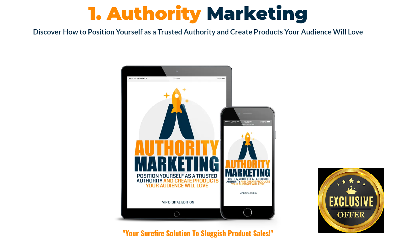 Authority Marketing