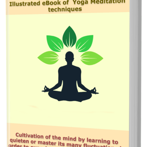 The Yoga Meditation - Illustrated eBook  of Yoga Meditation techniques
