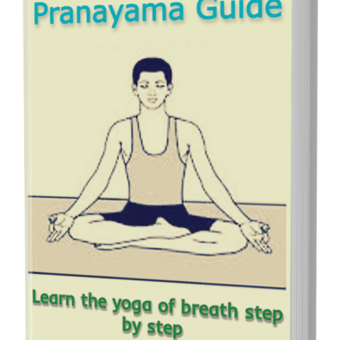 The Complete Pranayama Guide