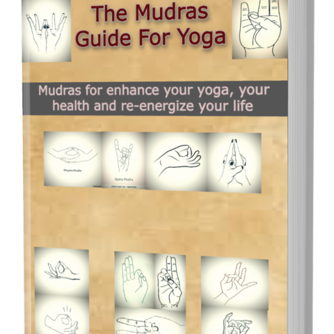 The Mudras Guide For Yoga