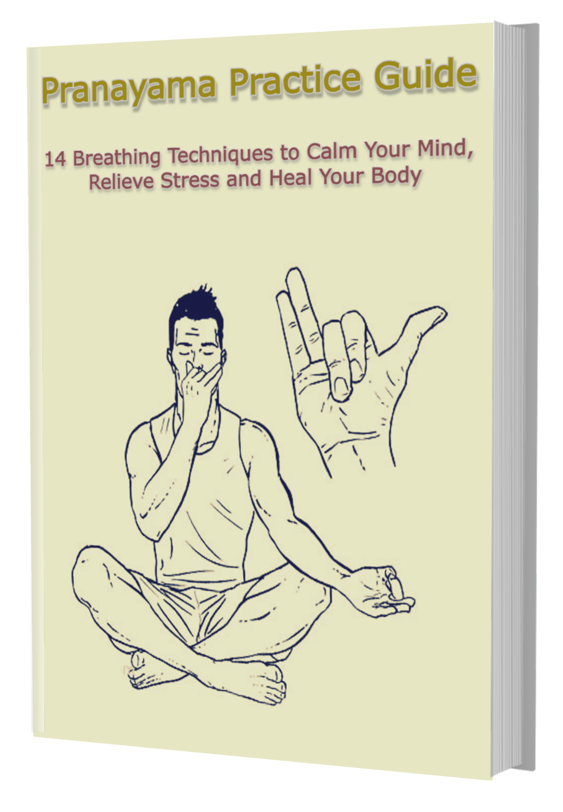 Pranayama Practice Guide