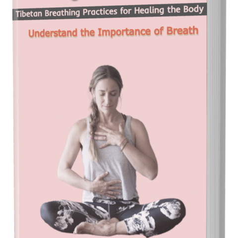 The Yoga Breath Guide