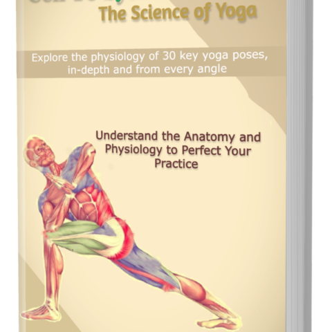 Cell To System – The Science of Yoga