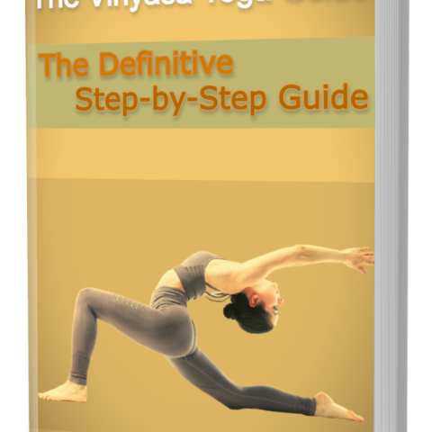 The Vinyasa Yoga Guide