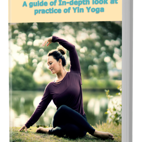 The Yin Yoga