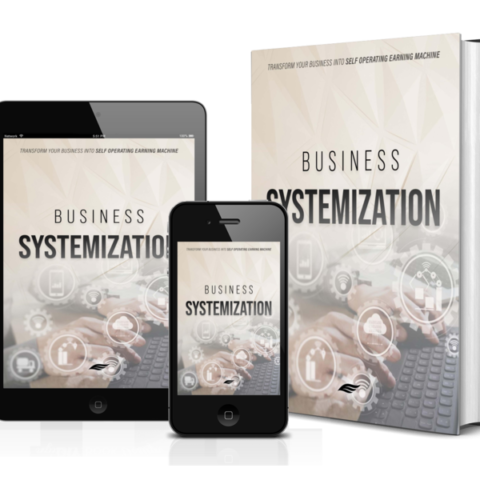 E-BOOK: Business Systemetization
